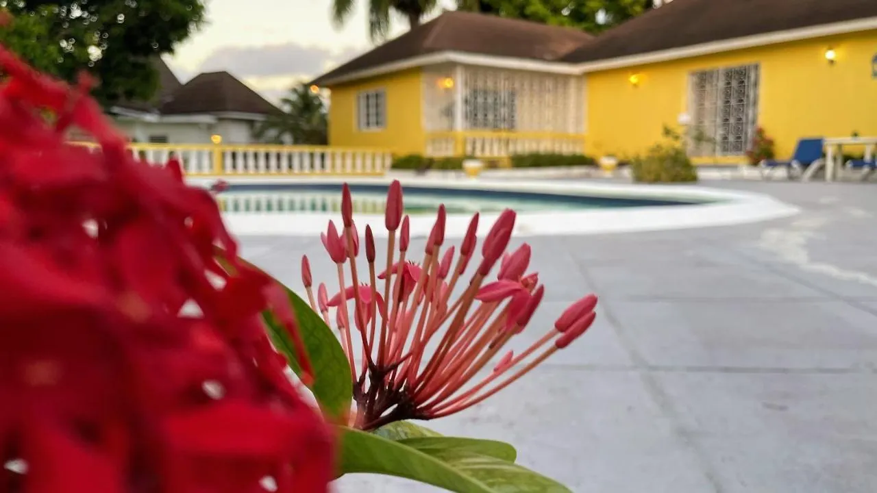 Yancey Largo Villa With Private Pool Montego Bay