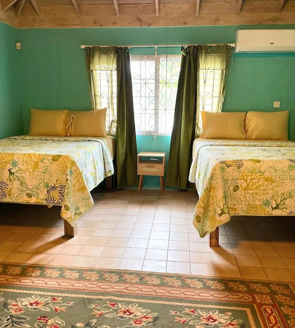 Yancey Largo Villa With Private Pool Montego Bay Jamaica